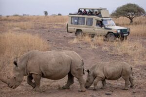 booking transfers from Nairobi to Arusha to start your safaris
